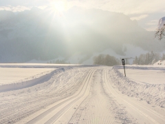IMG_2220_1_2_web1600